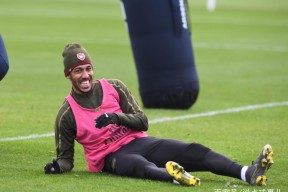 开云官方-赛后布鲁克林篮网备战英超，内部沟通细节曝光，底气十足，数据趋势出现新变化的简单介绍