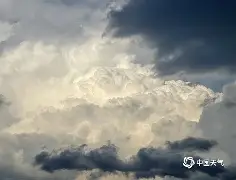 广州队狂飙2连败倒下 广州队狂飙2连败倒下